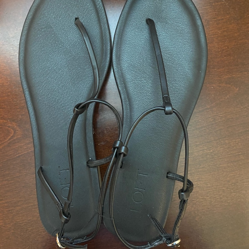 Ann Taylor Loft New Thong Sandal